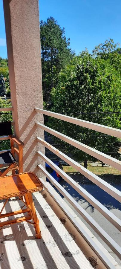 Apartman Lux Sneznik Vrnjačka Banja Εξωτερικό φωτογραφία